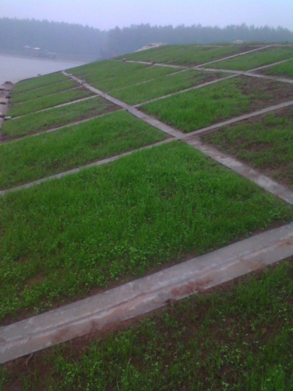 長(zhǎng)沙月亮島